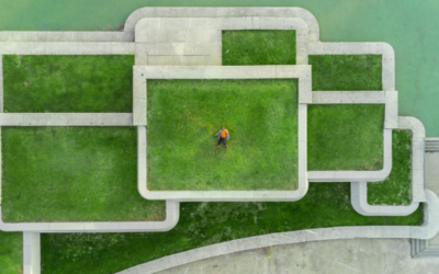 Green Roofs