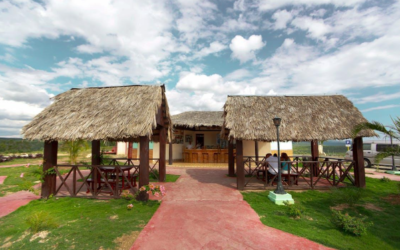 THATCH ROOFS